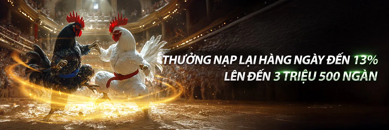Đá gà trực tuyến tại Sao79 Link Mới